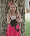 Filename=popoutpets-0401.jpg
Filesize=172KiB
Dimensions=1280x720
Date added=May 18, 2016 popoutpets-0401.jpg